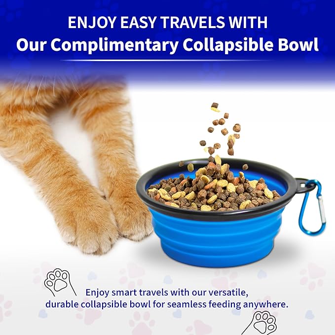 Pet Fit For Life - Vibrant Collapsible Travel Cat Litter Box - Portable, Foldable, Compact Design with Bonus Water Bowl - Ideal for Car & Camping - Reusable, Cats Safe - Black, (16"x12"x5")