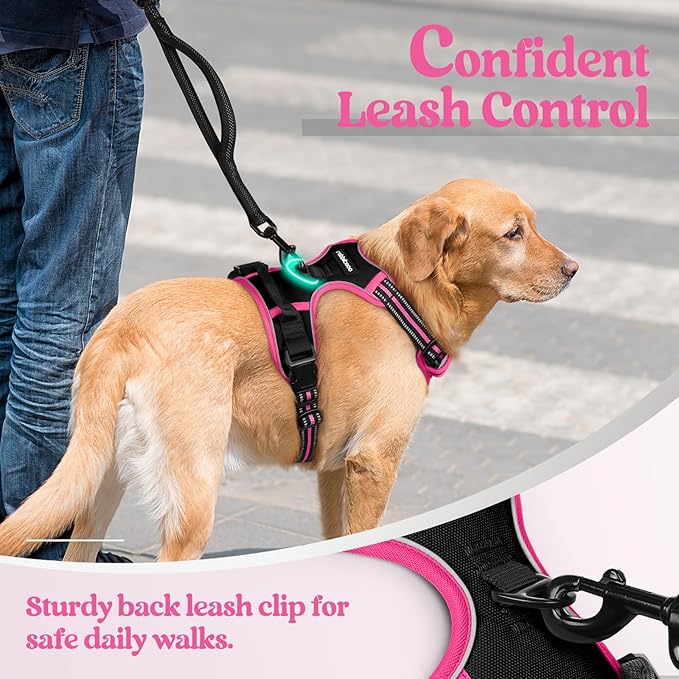 rabbitgoo Dog Harness No Pull with 2 Leash Clips, Adjustable Soft Padded, Reflective Oxford No Choke Pet Vest with Easy Control Handle for Large Dogs, Black & Hot Pink, XL
