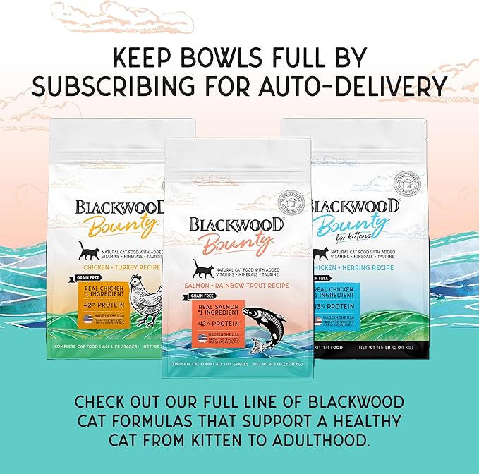 Blackwood Bounty Dry Cat Food, Salmon & Rainbow Trout Recipe for All Life Stages, 4.5 Pound Bag, High Protein, Grain Free