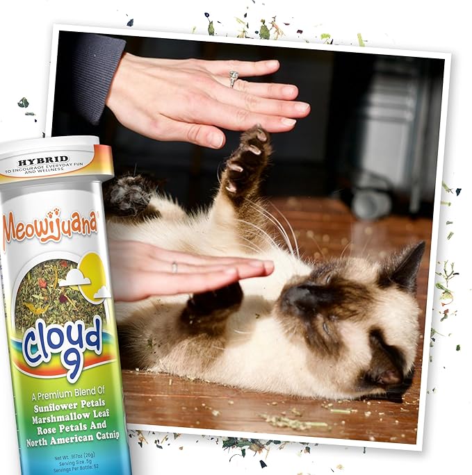 Meowijuana Rainbow Bundle | Get Kickin' Refillable Rainbow Toy and Cloud 9 Catnip Blend | Promotes Play and Cat Health | Includes North American Organic Catnip