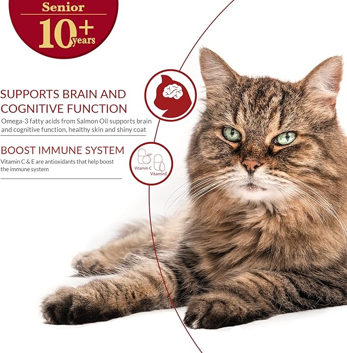 INABA Churu Broth for Cats Senior 10+, Side Dish Pouch, 1.4 Ounces per Pouch, 12 Pouches Total, Chicken & Tuna Recipe