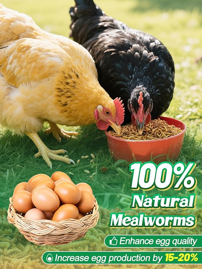 Mealworms Chicken Treats 2 Lbs with Handle Packing, High-Protein Promote Egg Production, Natural Chicken Feed for Laying Hens Wild Birds Ducks
