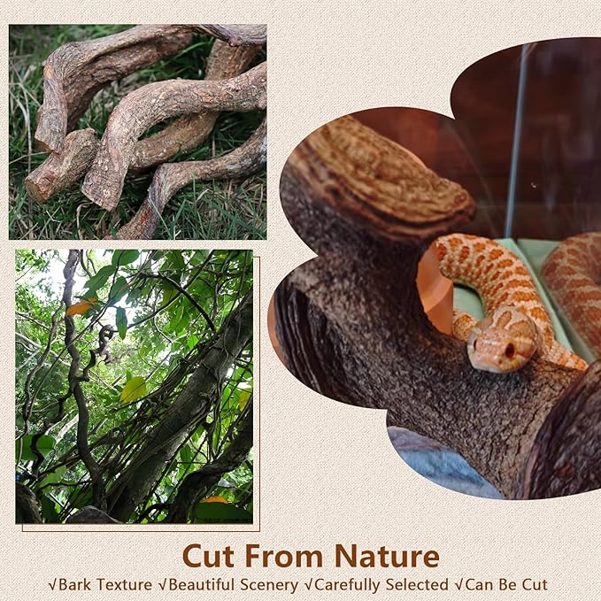 BNOSDM Reptile Climbing Branches Decor,Snake Climbing Branch,Gecko Climb Wood,Lizard Forest Branch,Tank Habitat Tree Trunk Decorations for Bearded Dragons,Chameleons,Spider,Frogs (XL)