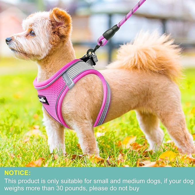 haapaw Dog Harness with Leash Set, No Pull Adjustable Reflective Step-in Puppy Harness with Thickened Padded Vest for Extra-Small/Small Medium Dogs