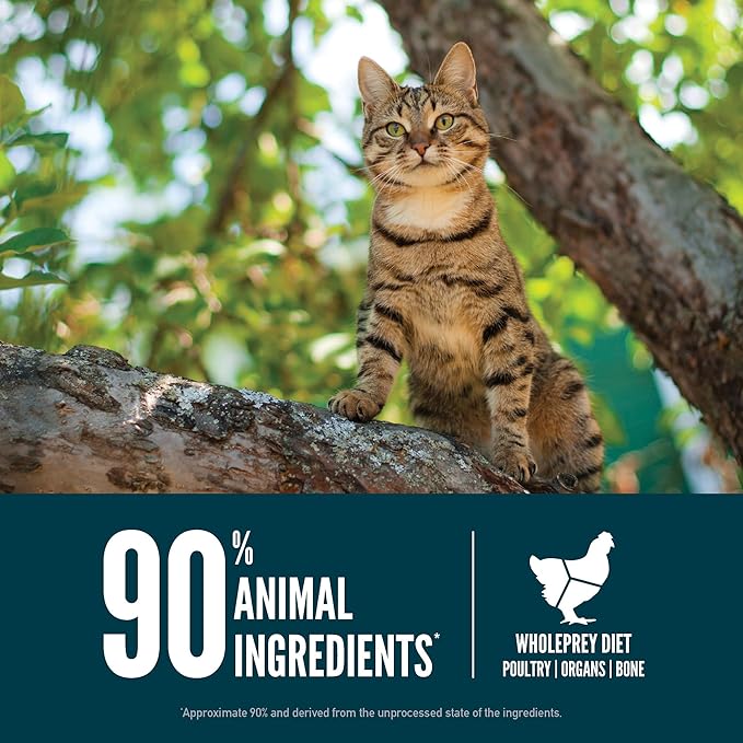 ORIJEN Guardian 8 Grain Free High Protein Premium Dry Cat Food 10lb Bag