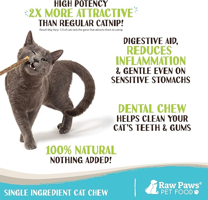 Raw Paws Silvervine Sticks for Cats (30 Pack) - Silvervine Cat Toy for Indoor Cats - Catnip Sticks - Silver Vine Cat Chew Stick