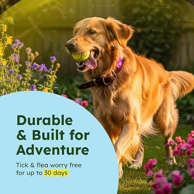 BugMD Paw Guardian Flea & Tick Pendant (2-Pack) with AirTag Holder – Plant-Based Flea & Tick Prevention for Dogs – Pet Collar Tag & GPS Tracker Holder for Dogs – Pink