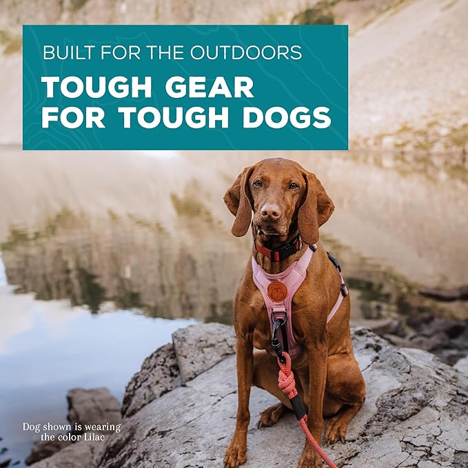 Wilderdog Lightweight Dog Harness with Reflective Straps - Small - Lilac