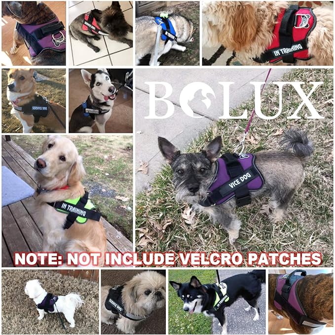 Bolux Dog Harness, No-Pull Reflective Dog Vest, Breathable Adjustable Pet Harness with Handle for Outdoor Walking - No More Pulling, Tugging or Choking (Purple, XS)