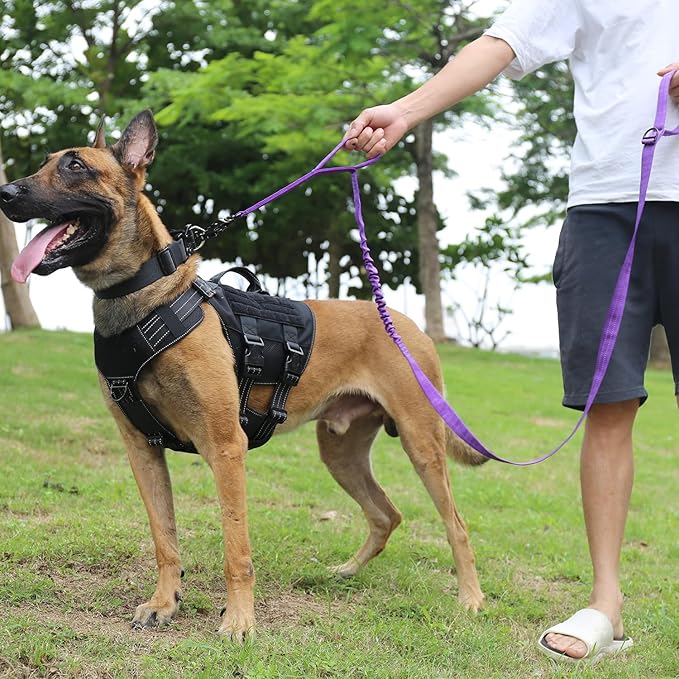 ICEFANG Tactical Dog Leash,K9 Training Walking Bungee Lead with 2 Control Handle,Heavy Duty Quick Release Metal Clasp,for Medium Large Breed (Reflective Purple, 6 FT)