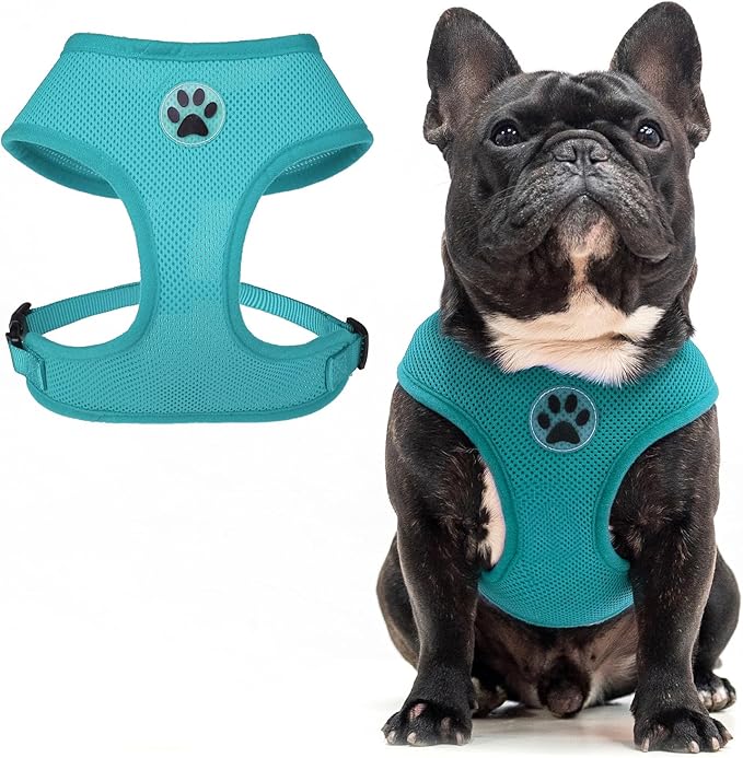 BINGPET Small Dog Harness - Breathable Mesh Puppy Cat Harnesses - No Pull Adjustable Dog Harness Dog Vest Harness for Small and Medium Dogs