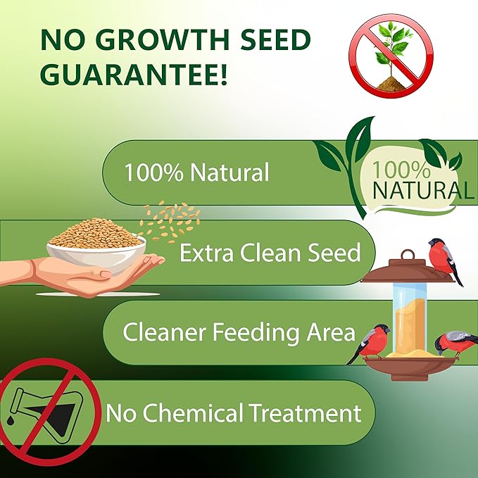 Nyjer/Thistle Seeds Wild Bird Food - 5 Pounds I No Grow Seed I Bird Seed for Wild Birds