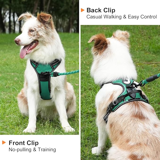 Taglory Light Up Dog Harness, Rechargeable No Pull Dog Vest with 3 Lightning Modes, Reflective Dog Harness with 2 Leash Clips & 4 Adjustable Slide Strips for Medium Dogs, Turquoise-Green, M