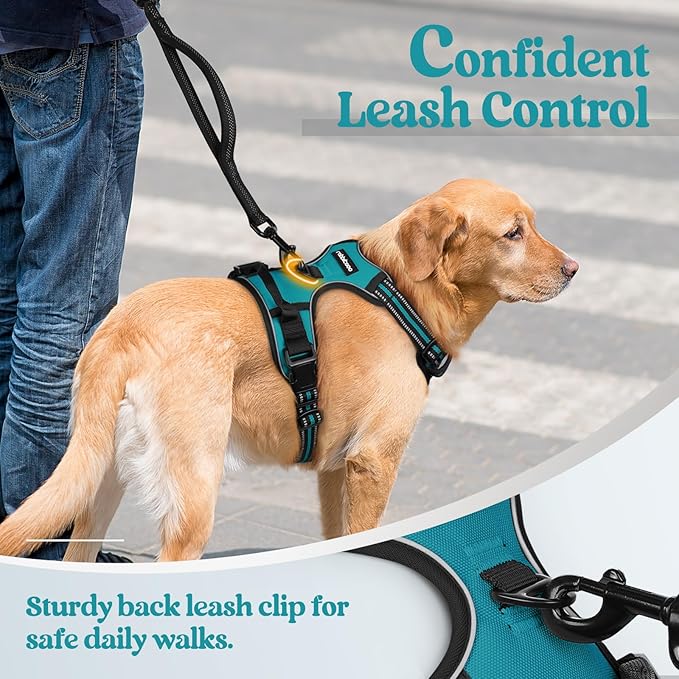 rabbitgoo Dog Harness No Pull with 2 Leash Clips, Adjustable Soft Padded, Reflective Oxford No Choke Pet Vest with Easy Control Handle for Large Dogs, Teal, L