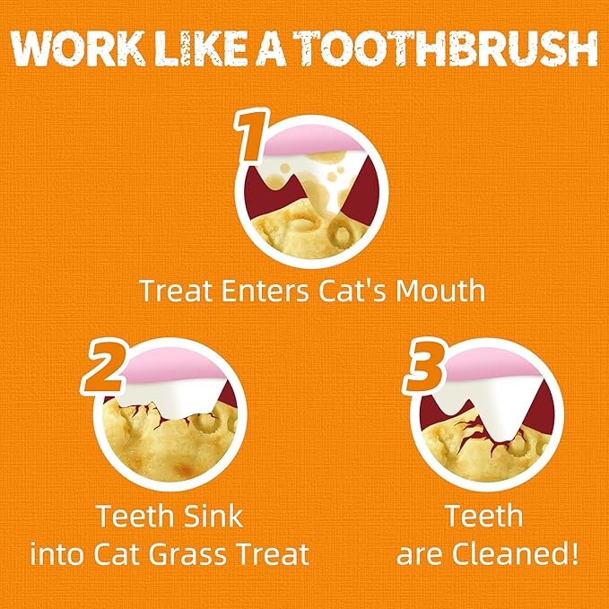 Just Try 13.4 OZ Pumpkin Cat Treats Cat Constipation Relief Hairball Control Healthy Salmon Snacks Training Biscuits Treats for Digestive Support Low Calorie Kitten Snacks