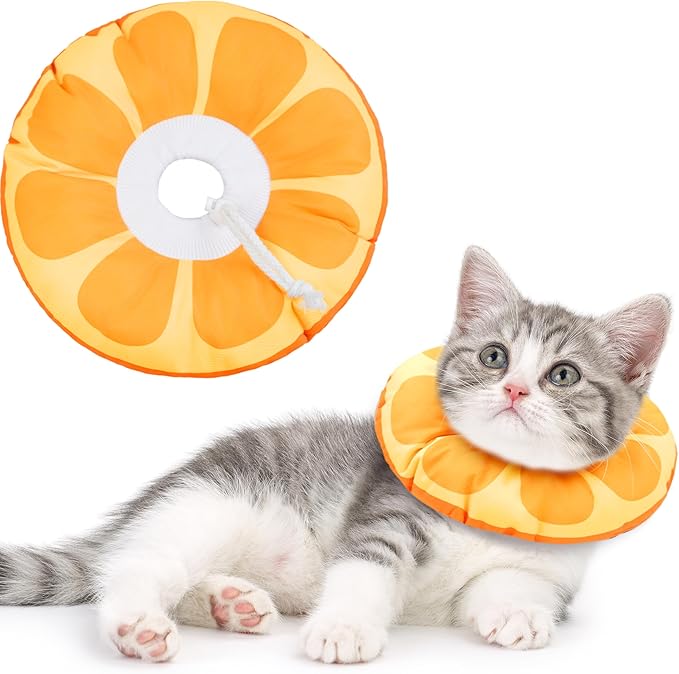 Kitten Cones After Surgery Extra Small Waterproof Cone Collar Soft to Stop Licking Neck Elizabethan Kitten e Collar for Recovery Wound Healing Safety xs Small Cat Donut Cone