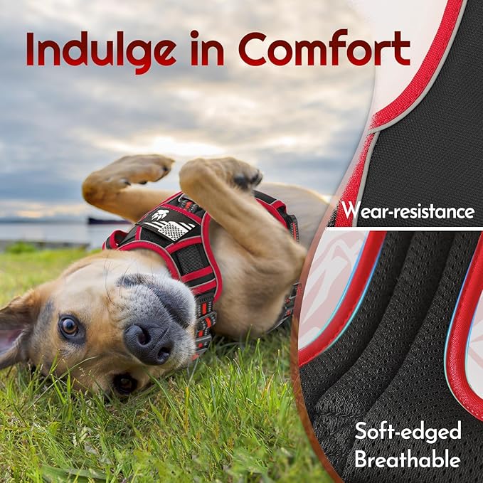 Eagloo Dog Harness for Large Dogs, Easy Wearing with 3 Buckles, Adjustable No Pull Pet Harness with 2 Rings for Walking, No Chock Reflective Soft Padded Vest with Control Handle, Black & Red, XL