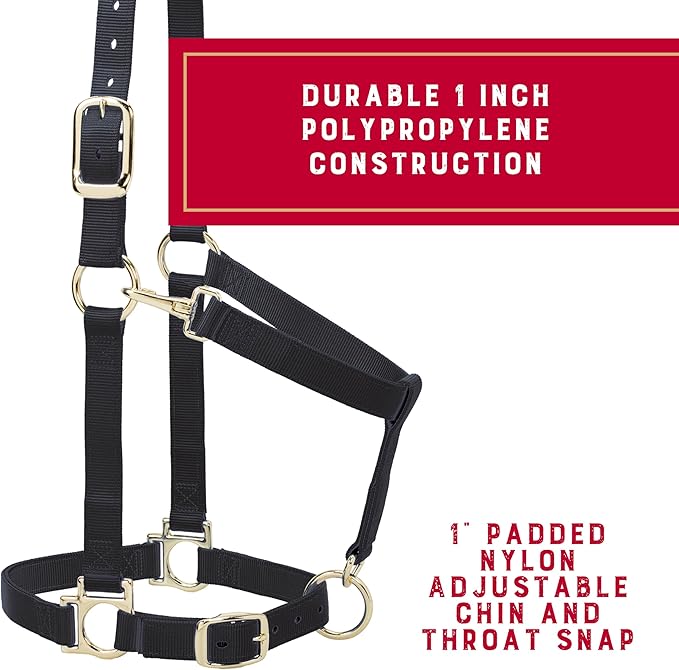 Weaver Leather Nylon Horse Halter, Padded and Adjustable, Chin and Throat Snap Hook Halters for Horses, Brass Plated Halters for Training