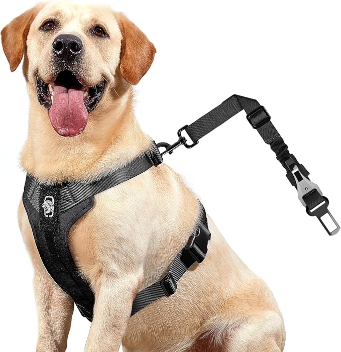 OneTigris Dog Safety Vest Harness, REX Car Use Dog Harness Adjustable Pet Harness with Leash for Medium Large Dogs(Black,M)