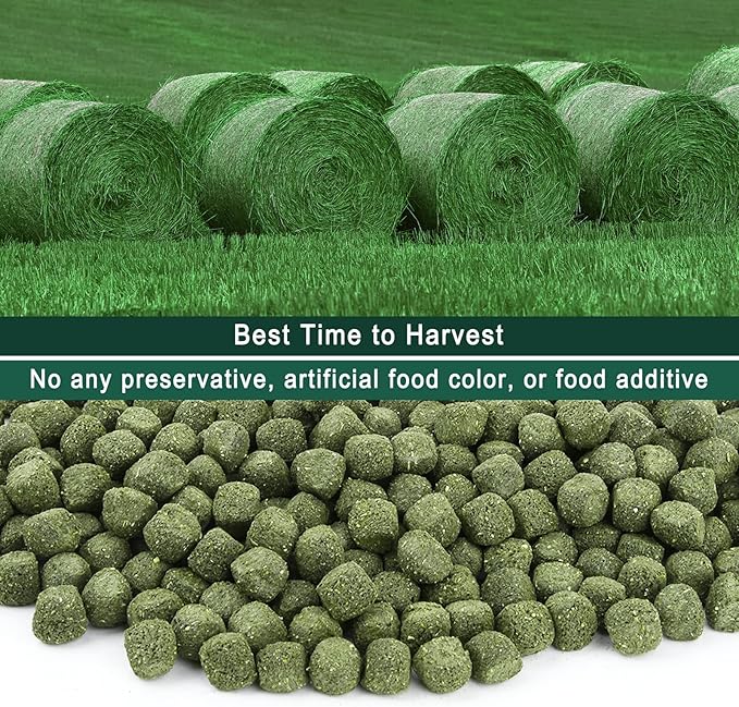 Timothy Hay Cubes 60 oz (6 * 10 oz) with Small Size - Timothy Grass Pellets for Tortoises Rabbits Guinea Pig Chinchilla