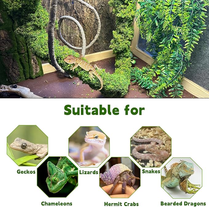 BNOSDM Reptile Plants,Flexible Rainforest Vines with Moss,Bendable Jungle Climbing Vines,Terrarium Artificial Plants Decor for Bearded Dragon,Hermit Crab,Snake,Geckos,Chameleon,Lizard