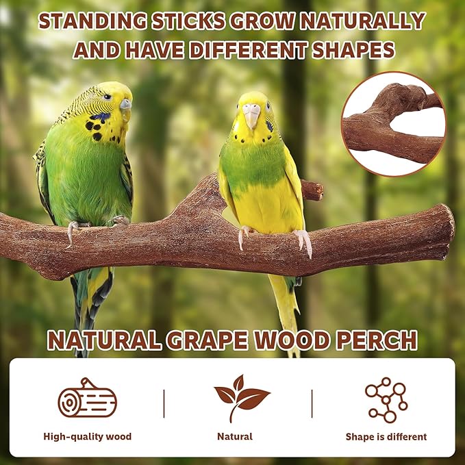 7-Piece Bird Perch Set: 3 Grapevine Paw Grinding Forks, 2 Wood Stands & 2 Hammocks - Cage Accessories for Parakeets, Cockatiels, Conures, Budgies