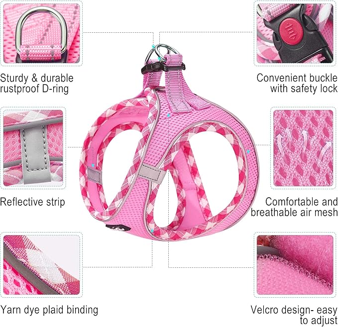 haapaw Dog Harness with Leash Set, No Pull Adjustable Reflective Step-in Puppy Harness with Thickened Padded Vest for Extra-Small/Small Medium Dogs