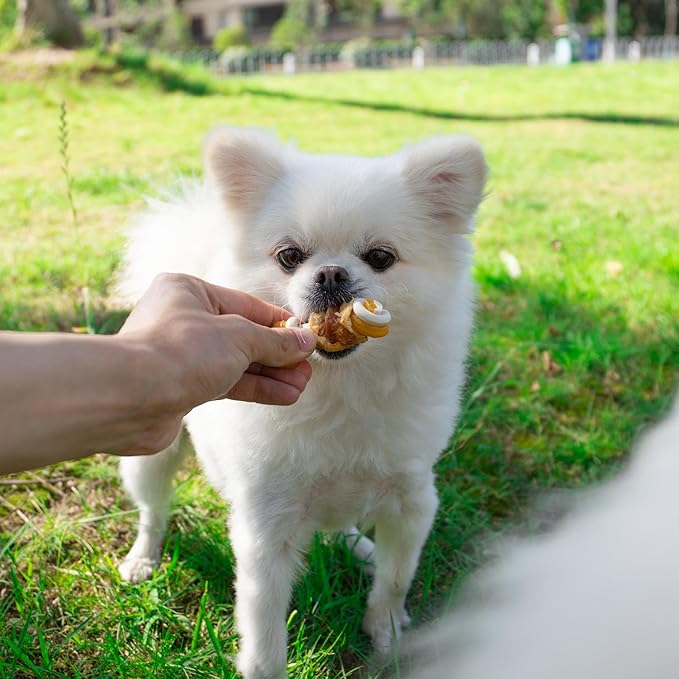 MON2SUN 2.5" Rawhide Free Dog Treats with Mixed Vegetables, Chicken Wrapped Mini Knot Bones for Small Dogs, Healthy Snacks for Balanced Nutrition, 10.6oz