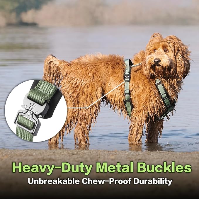 CLEPAWS Dog Harness for Medium Dogs, No Pull Dog Harness Easy Walk with Metal Hardware, Ergonomic Y-Shaped Design, Soft Padding, Padded Handle, Durable High-Tensile Nylon (Evergreen, M)