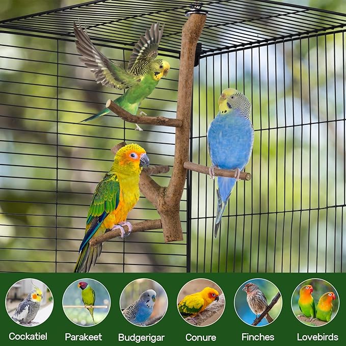 Bird Perch Stand, Natural Vitex Negundo Wood Parrot Perch Bird Cage Branch Perch, Accessories for Parakeets, Cockatiels, Conures, Macaws, Finches, LoveBirds (12" Length)