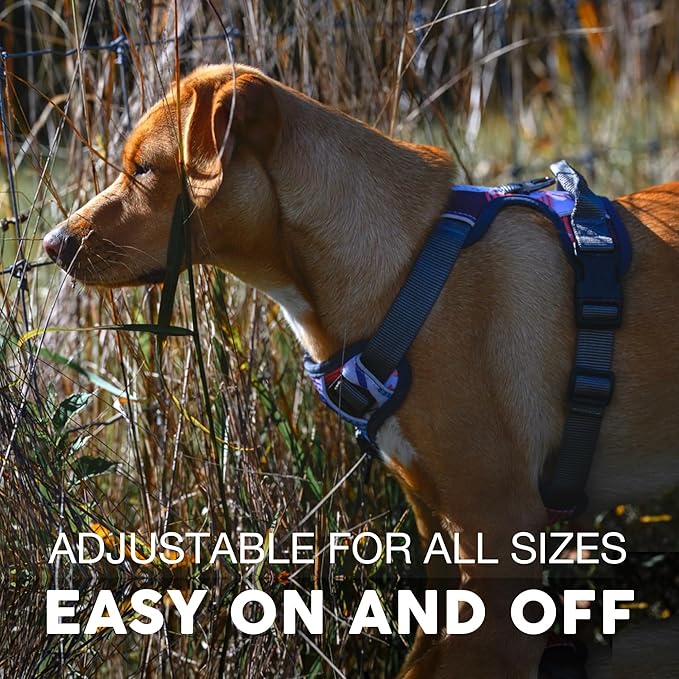 Embark Adventure Dog Harness, Reflective Trim No Pull Dog Harness for Large Dogs - Military Grade Nylon, Front Clip with Gel Lined Handle.