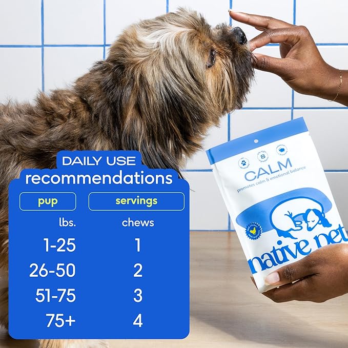 Native Pet Calming Chews for Dogs - Melatonin for Dogs Anxiety Relief - Grain Free All Natural Hemp Calming Treats & L-Theanine Helps Manage Stress & Separation Anxiety - Puppy Sleep Aid - 60 Chews