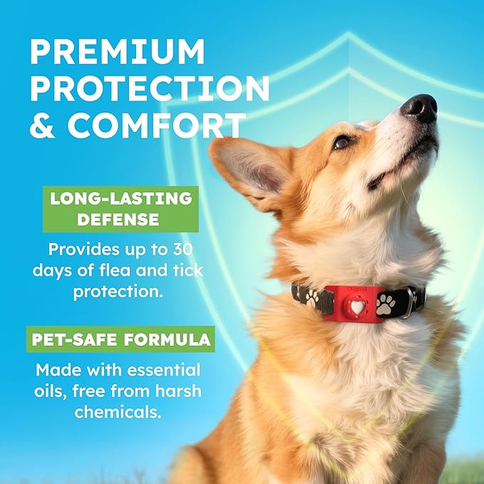 BugMD Paw Guardian Refill, Plant-Powered Flea & Tick Protection Tablets, 3 Count, 30-Day Protection, Natural Essential Oil Formula