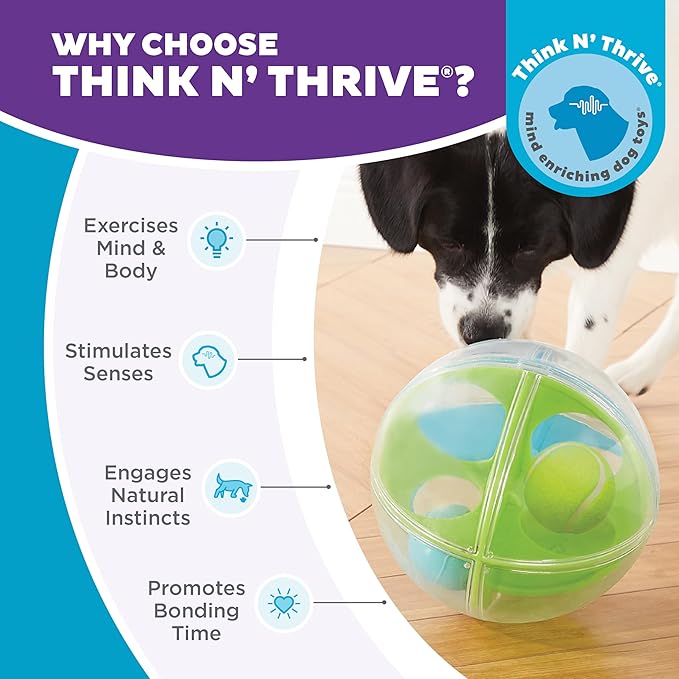Outward Hound by Nina Ottosson A-Maze Ball Dog Treat Puzzle Ball, Level 2 Intermediate, Green