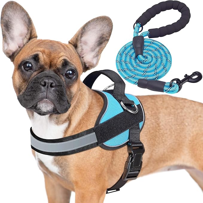 Haapaw Essential Dog Harness, No Pull Pet Vest with 3 Leash Clips, No Choke, Reflective, Adjustable and Padded, for Easy Walking and Training for Small Dogs(S, Blue)