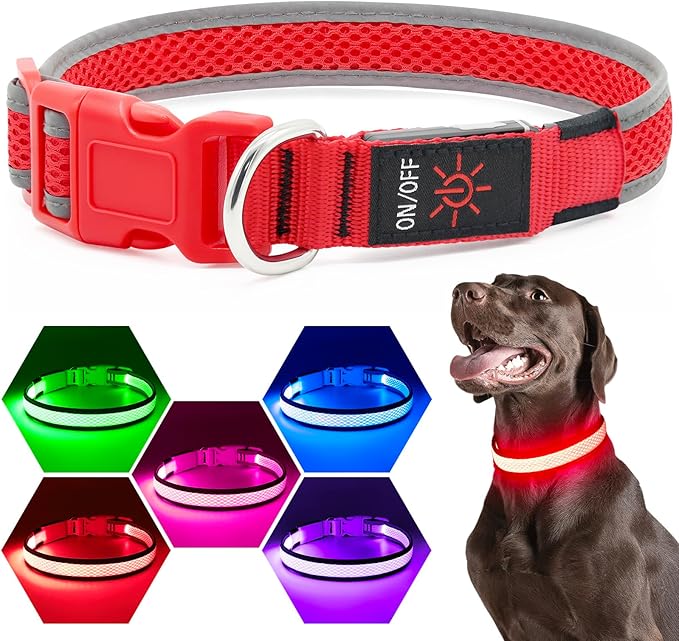 Flashseen LED Dog Collar, Light Up Dog Collar USB Rechargeable, Brightest Dog Lights for Night Walking, Adjustable Dog Collar Light for Dog Safety(Small, Ruby Red)