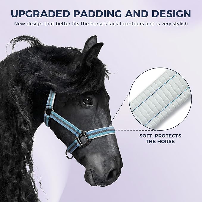 JWODVNTH Adjustable Horse Halter with PP Webbing, Durable Horse Halters with Zinc Alloy Hardware, Horses Training Equipment to Prevent Friction for Training, Competitions ＆ Daily