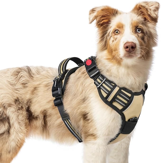 rabbitgoo Dog Harness Medium Sized, No Pull Pet Harness with 3 Buckles, Adjustable Soft Padded Vest with Control Handle, Walking Reflective Pet Vest for Medium Dogs, Beige, M