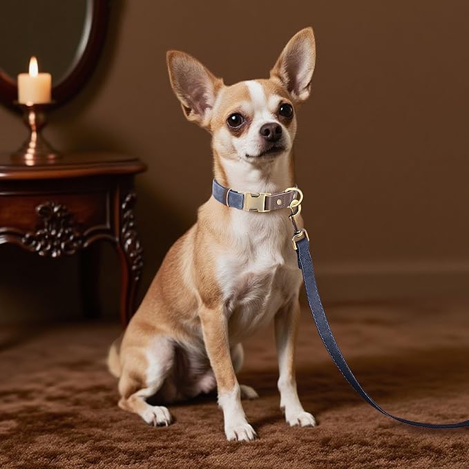 Didog Soft PU Leather Dog Collars for Small Dogs,Classic Adjustable Dog Collars with Quick Release Metal Buckle,Easy Clean and Comfortable with Nylon Lining,Blue,S Neck 10-15"