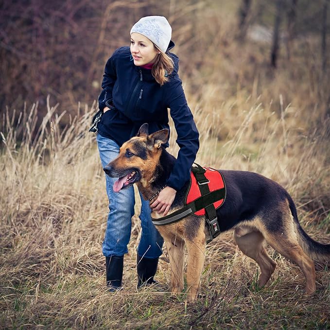 Dogline Dog Harness, Reflective No-Pull Adjustable Vest with Handle for Walking, Training, Service Breathable No - Choke Harness for Small, Medium or Large Dogs Room for Patches Girth 18 to 24 in Red