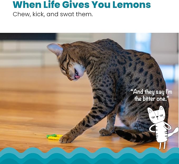 Catstages Dental Lemon Teether, Soft and Textured Cat Chew Toy, Catnip Oil Coating, Yellow