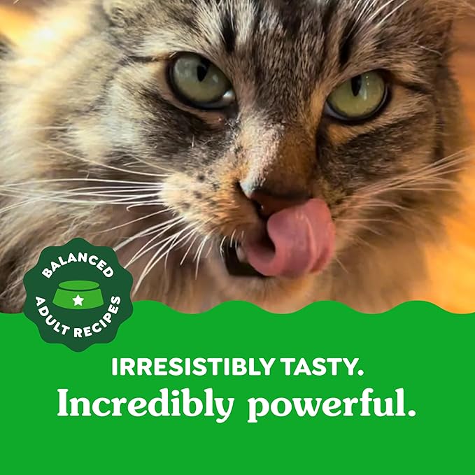 Greenies Feline Adult Dental Cat Treats, Catnip Flavor, 4.6 oz. Pack