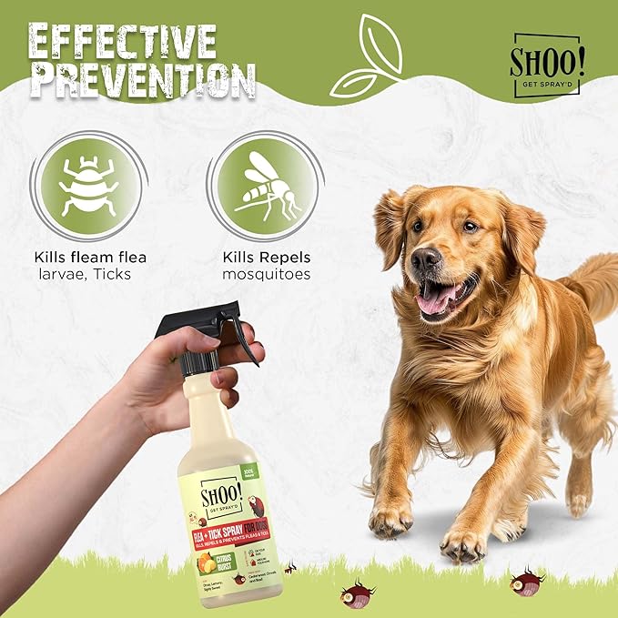 Shoo! Flea & Tick Spray for Dogs and Home | Plant Based, Natural Oils, Chemical Free Formula | Kills, Repels, Prevents | 16 oz (Citrus Burst)
