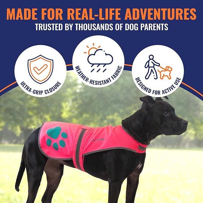 Dog Reflective Vest – Hi-Vis Fluorescent Visibility That Helps to Safeguard Your Pet On/Off Leash in Urban & Rural Areas (Pink, Medium)