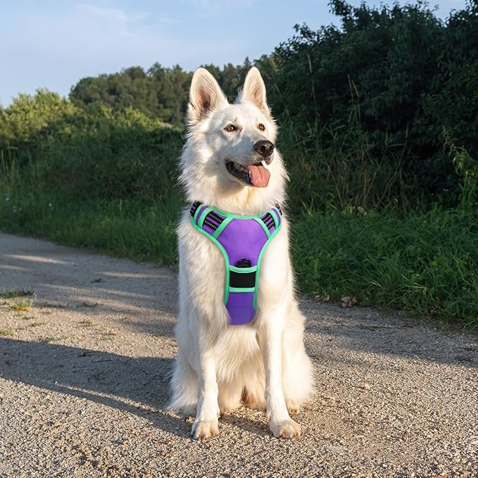 Eagloo Dog Harness for Large Dogs, No Pull Service Vest with Reflective Strips and Control Handle, Adjustable and Comfortable for Walking, No Choke Pet Harness with 2 Metal Rings, Purple & Green, XL