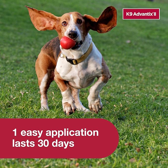 K9 Advantix II Medium Dog Vet-Recommended Flea, Tick & Mosquito Treatment & Prevention | Dogs 11-20 lbs. | 4-Mo Supply (Pack of 2)