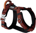 MADE TO ROAM Premium Explorer Harness - Y-Shaped Dog Harness with Adjustable Durable Nylon, Soft Padding, Metal Buckles and Leather Handle for Small, Medium, Large Dogs (Arizona Heartbeat, Size 6)