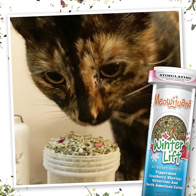 Meowijuana | Get Twisted Bundle | Get Twisted Stocking and Winter Lift | Promotes Play and Cat Health | Includes Organic Catnip | Feline and Cat Lover Approved