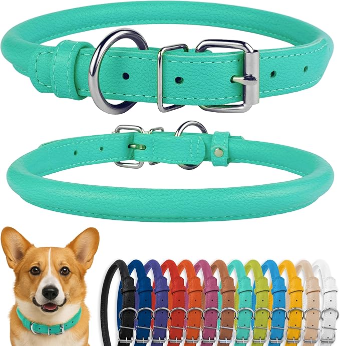 CollarDirect Rolled Leather Dog Collar, Soft Padded Round Puppy Collar, Handmade Genuine Leather Collar Dog Small Large Cat Collars 13 Colors (11-14 Inch, Mint Green Textured)