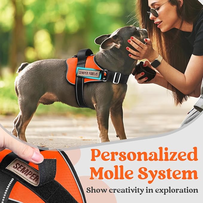 rabbitgoo Dog Harness Medium Sized, Easy On Pet Vest with One Buckle, No Pull Adjustable Service Harness with D-Ring & Handle, Reflective for Safety Walking, Training, Orange, M